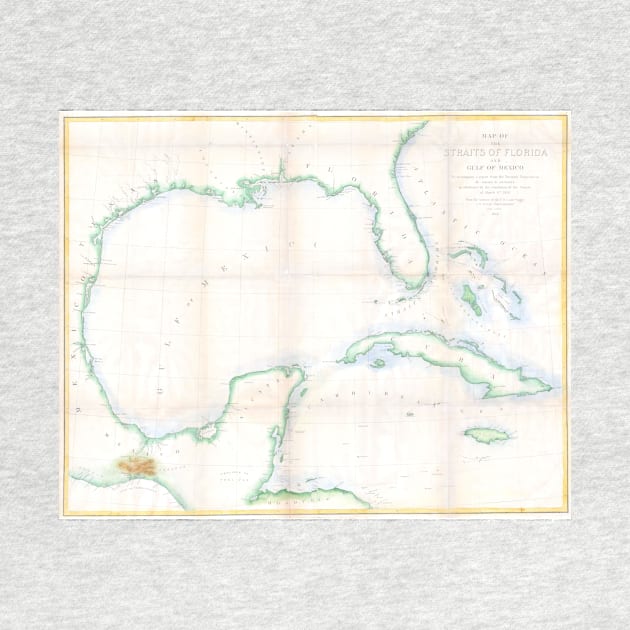 Vintage Map of The Gulf of Mexico (1852) by Bravuramedia